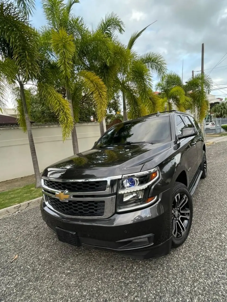 Black Chevrolet viewed from the front and side, parked beside palm trees
